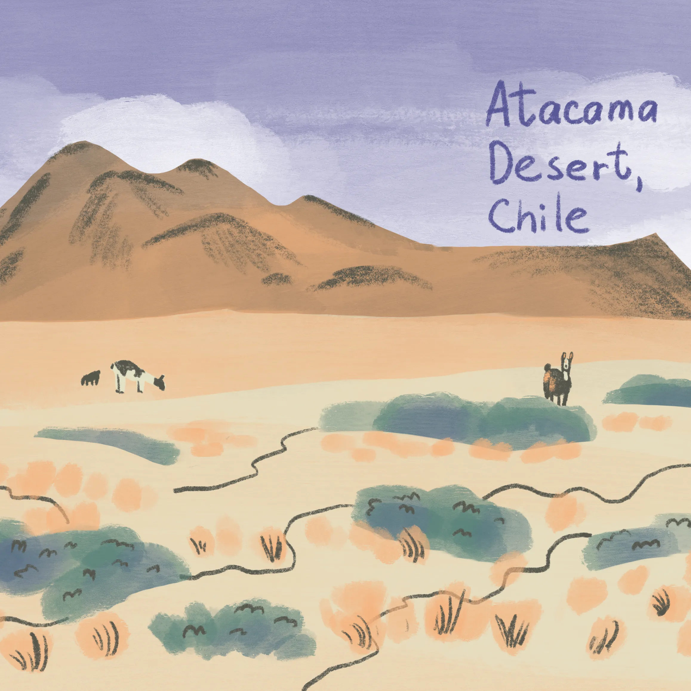 Atacama Desert episode cover